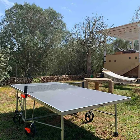 La Tortuga Mit Pool Und Klima アルガイダ
